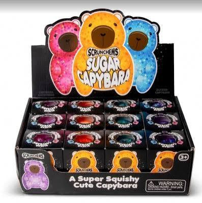 🐻 Sugar Capybara Squishy